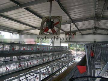 chicken broiler house design