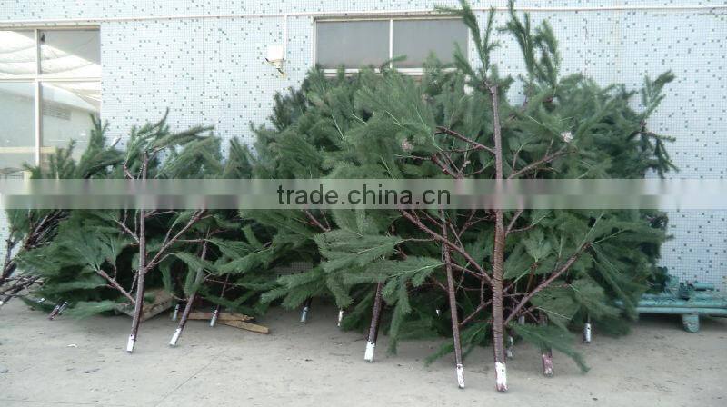 50 feet Badaling Great Wall pine tree-shape lightening rod and telecom tower
