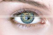 NEO VISION KOREA 14.2 mm colored eye contact lenses