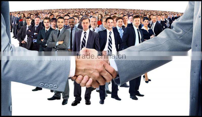 China Suppier Food Grade Custom Silicone Ice Cube Mold