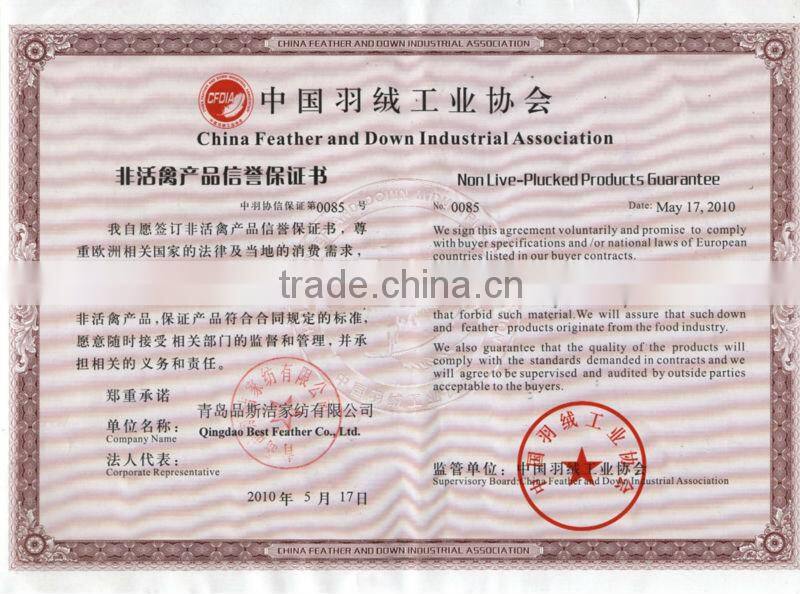 duck feather cushion