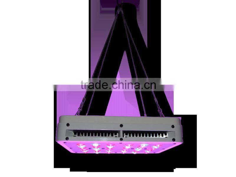 New apollo4 40*5w 200w Red Blue Indoor Plant Grow Light Hanging Light for Garden Greenhouse and Hydroponic Aquatic