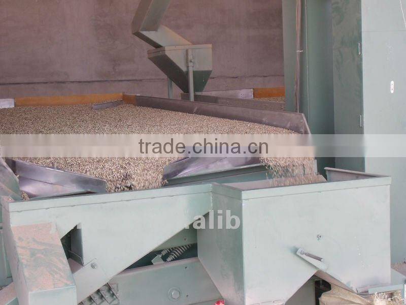 Brown Flax Seeds With Best Price