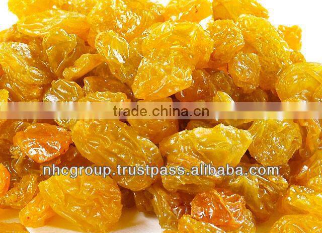 GOLDEN RAISIN (NEW CROP)