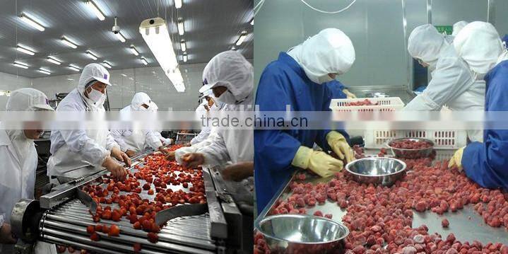 Frozen Strawberry best selling products