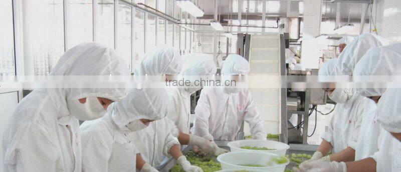 Dried Cherry for Decoration in Bakery, Chocolate