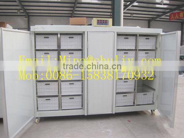 75kg per day black bean sprouts making machine