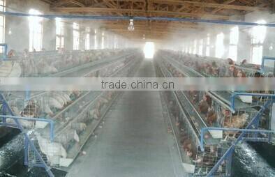 1/8" mist fog ruby orifice water atomizer nozzles