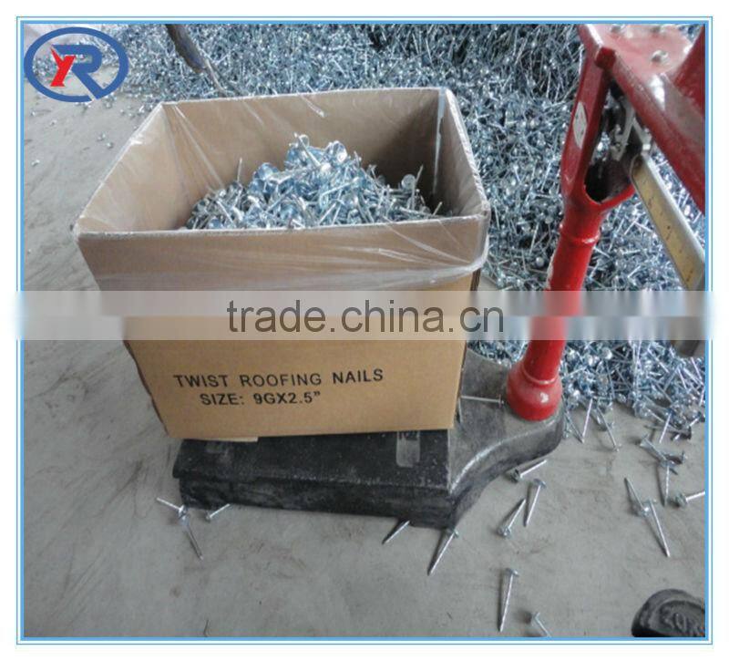 fluted or spiral zinc galvanized concrete nail 45# made in china