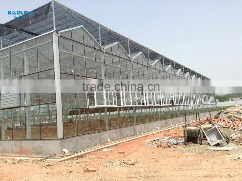 steel structure Glass house glass greenhouse