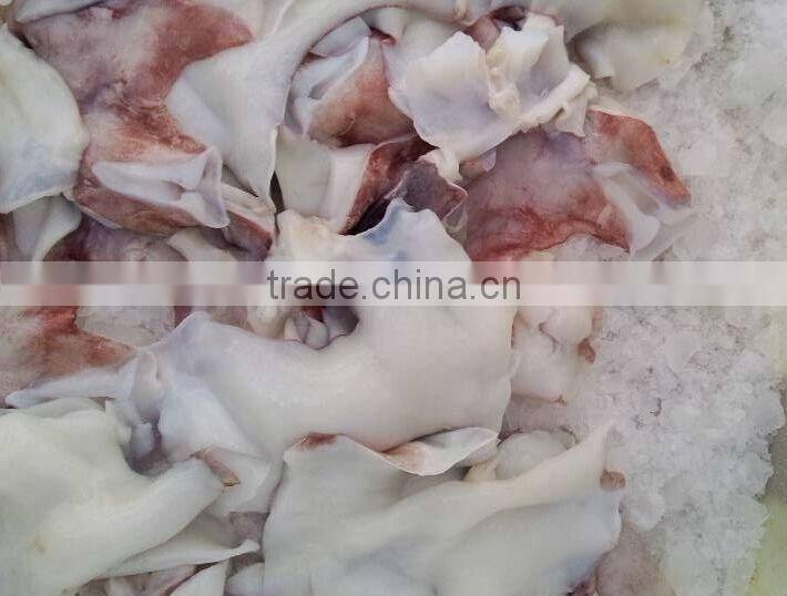 Good Quality Seafood Frozen Giant Squid Neck