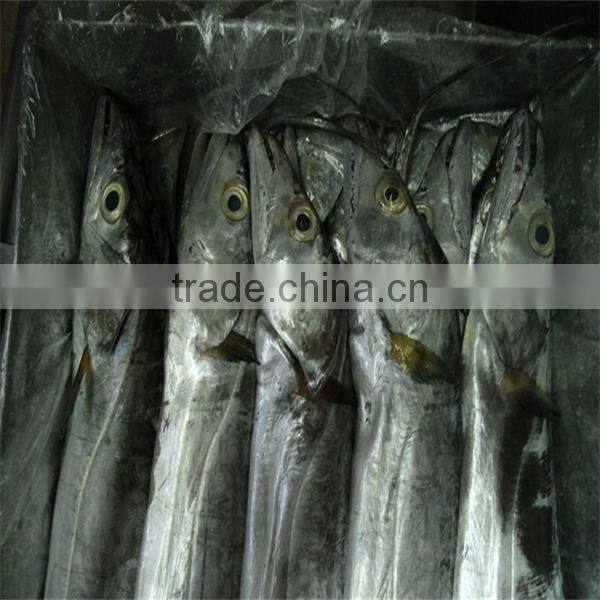 fresh best frozen fish