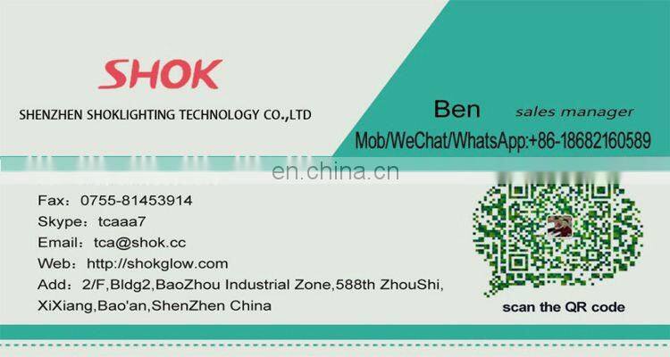 Wholesale price customized shape logo LED projector keychain