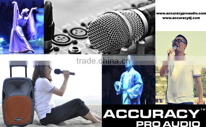 Professional Plastic Body Best Wireless Microphone For Karaoke UHF-13