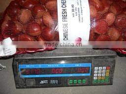2015 new crop of the chestnut with highest quality