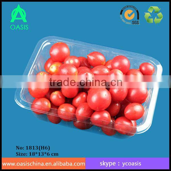 500ml disposable blister plastic PET food tray/PET plastic tray for food