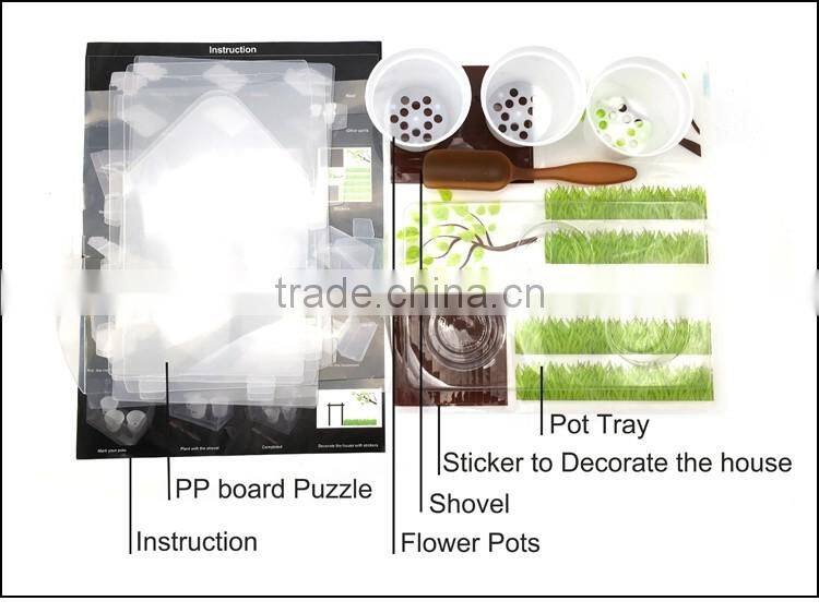Make Your Own Greenhouse and Plant New Kids Toys Educational Science