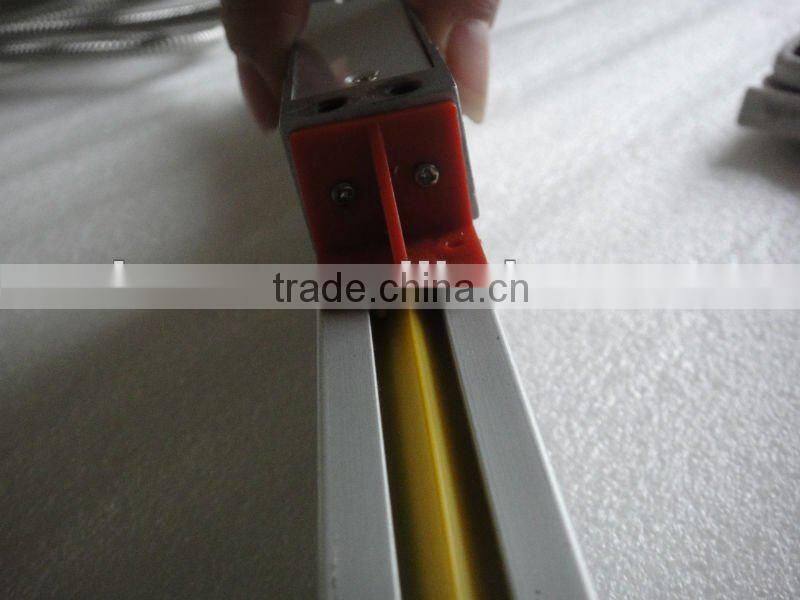 Ditron 50-600mm linear glass scale