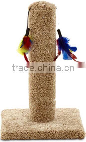 Cat playing toy with chicken feather