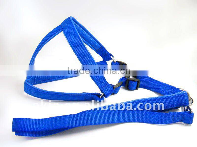 fashion pet leash and harness