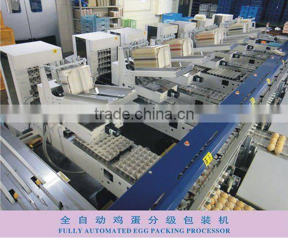 Full-Auto Egg Packing Processor