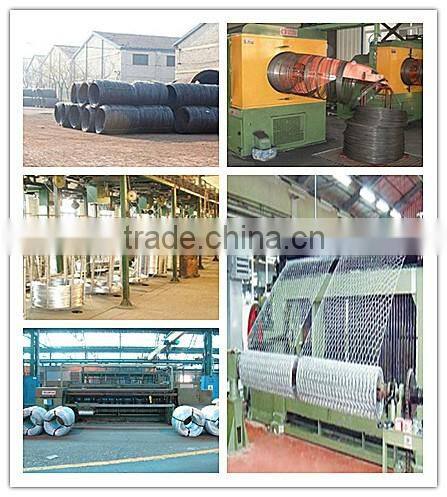 high quality hexagonal wire netting / chicken coop wire netting