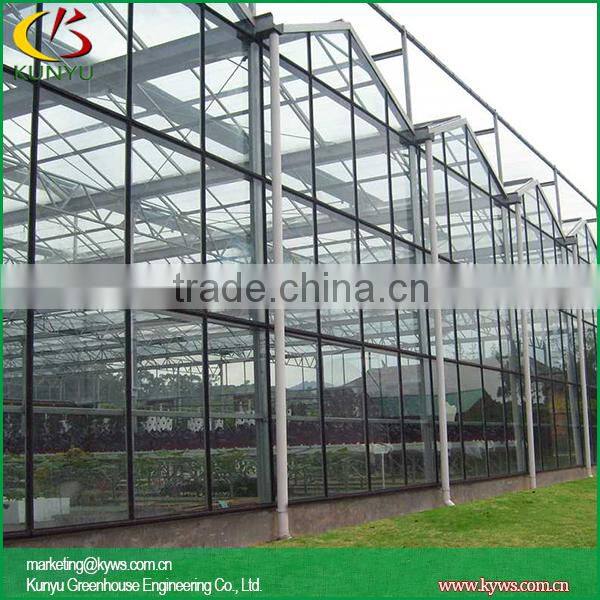Venlo roof type greenhouse supply backyard greenhouse