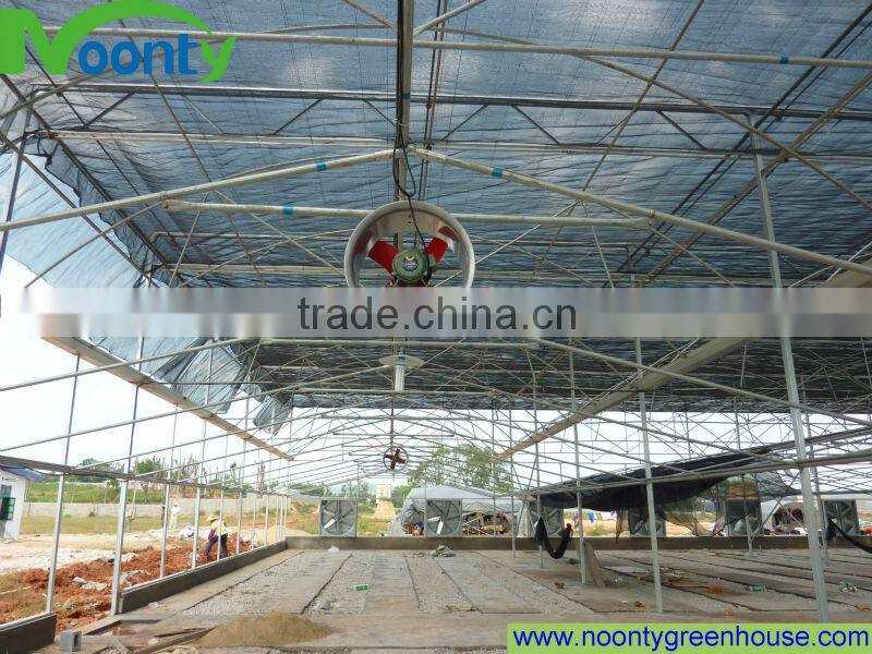 Commercial greenhouses