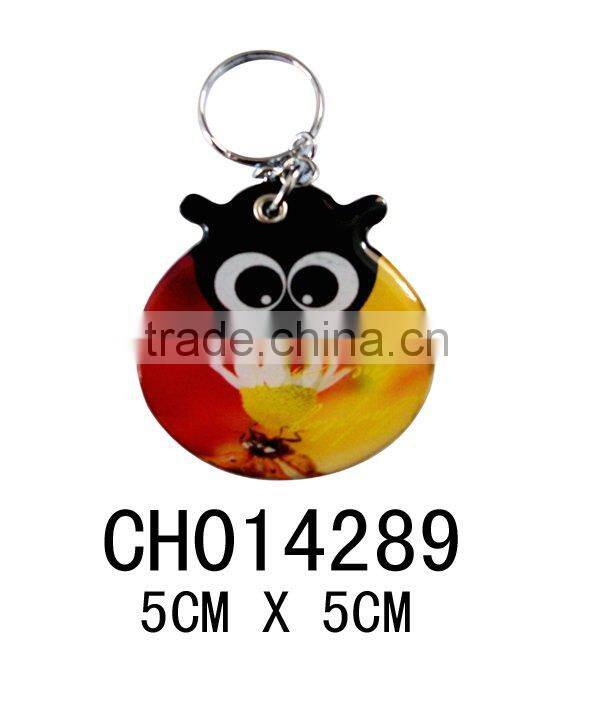 2011 new plastic key chains