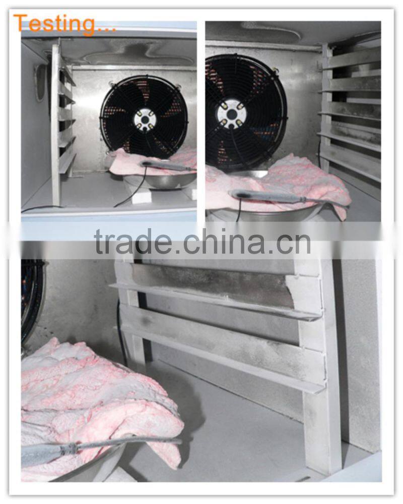 Blast Chiller/Freezer