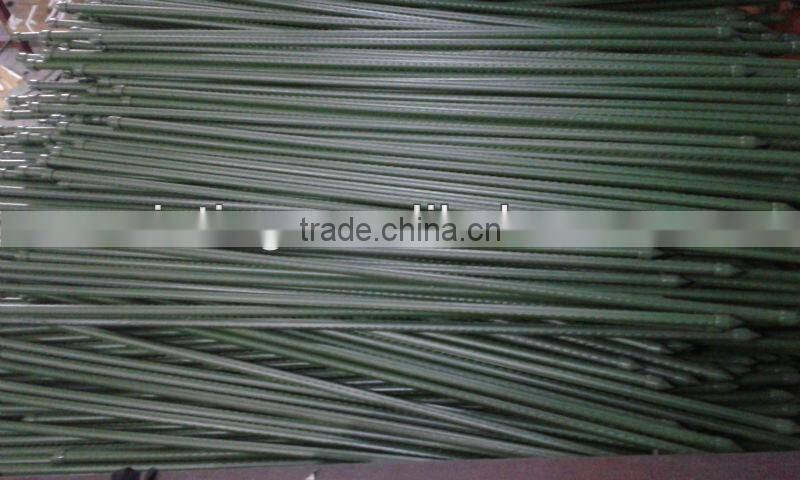 garden plants shelves