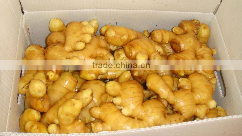 ginger mesh bag package