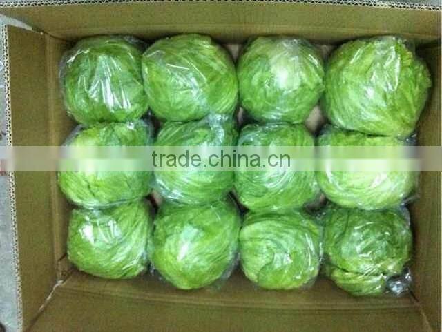 zhangbei Lettuce