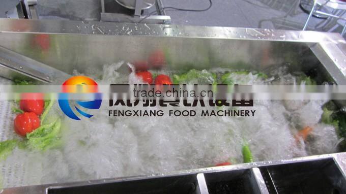 Domestic Horizontal Crown Low Voltage Vegetable Washing Machine