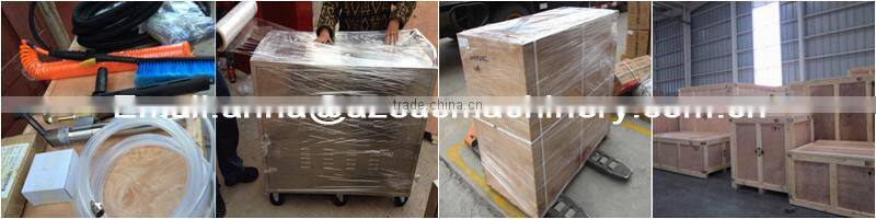 Hand type single gun car washing machine with stainless steel/steam car washing machine