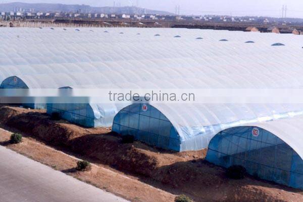 Light trap for greenhouse