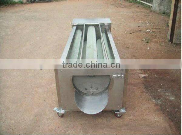 cheap price nylon brush roller type carrot washing machine