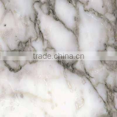 Arabescato Corchia white marble slab