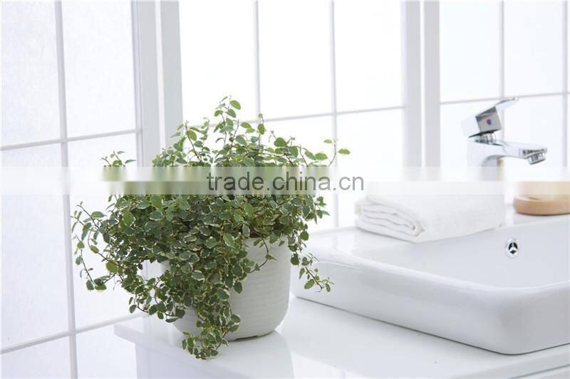 Plastic Round succulent Plant Pot/Cactus Plant Pot Flower Container