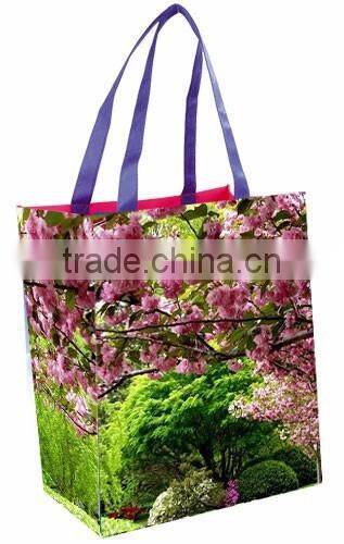 Non Woven Promotion Bags with Solid cmyk printed + Gusset printed