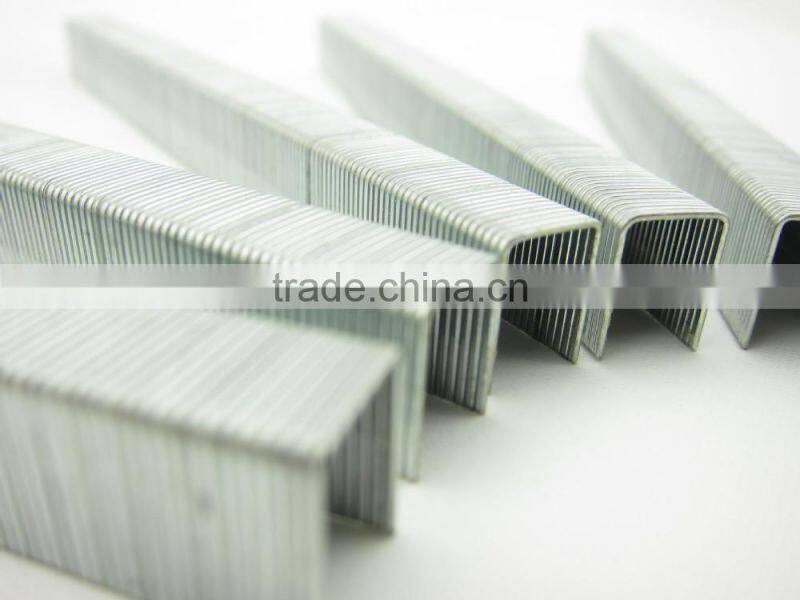 staple nail 1006F