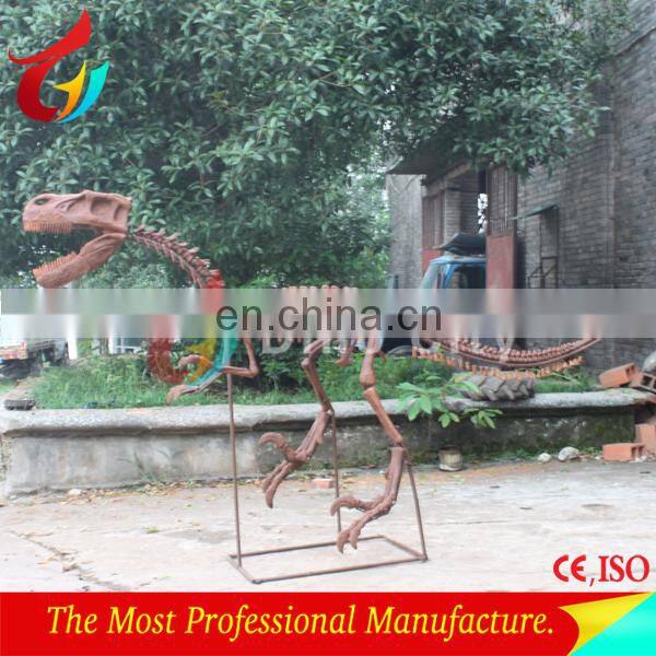 Dinosaur museum dinosaur skeleton for exhibition