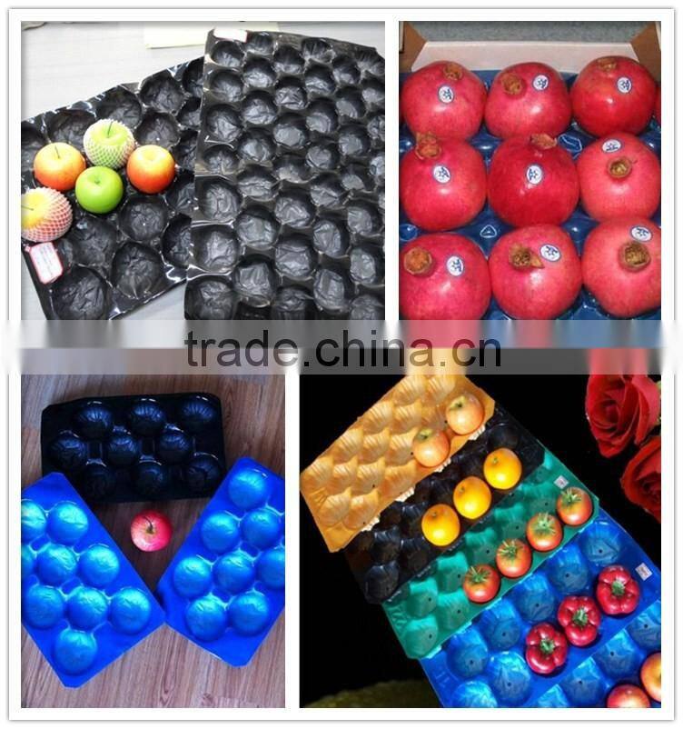 PP/PS/PET plastic tray /packaging tray /fruit tray