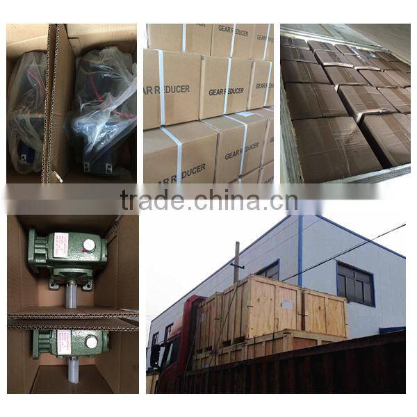 NMRV+NMRV double stage worm gear speed reducer with high quality