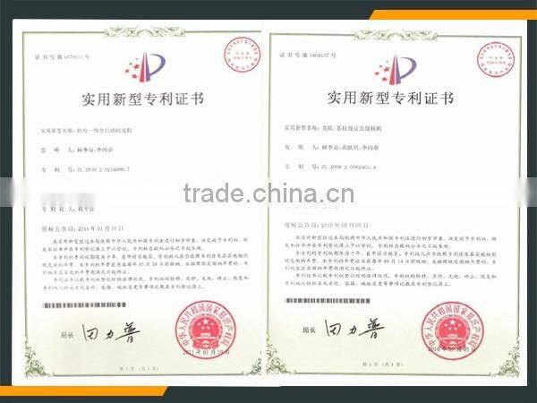 Leader high quality various fruit beating machine offering its services to overseas