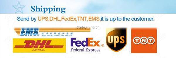 LCD screen replacement for iPhone 3GS