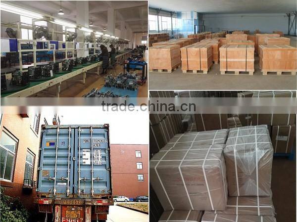 Portable Inverter 3IN1 TIG250Ex Tig MMA Welders