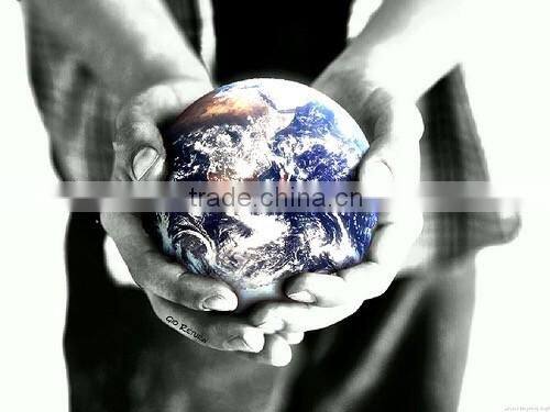 wholesale disposable plastic CPE gloves for householed