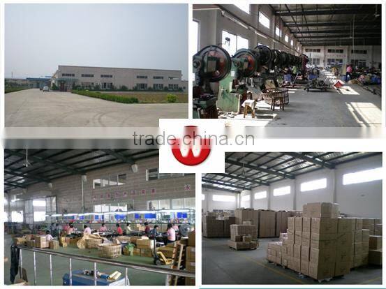 Stainless Steel Egg Whisk