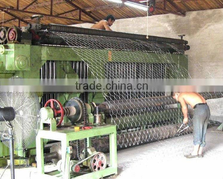 Anping factory hexagonal mesh sheet